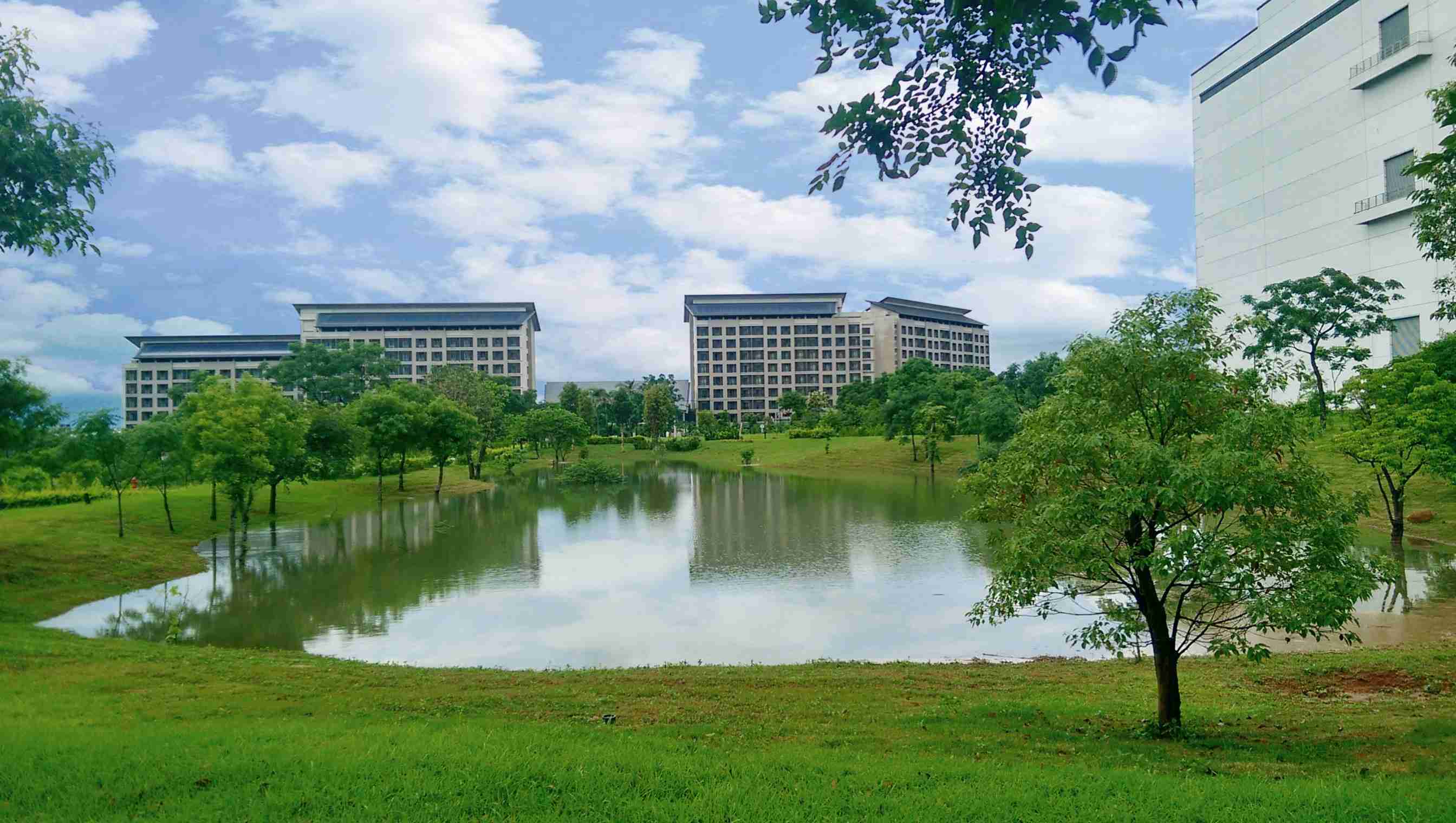 Wepay响应国际倡议生物多样性趋势，，，首次发布TNFD自然相关财务揭露报告书，，，擘划及开展Wepay生物多样性政策之承诺，，，，逐步迈向与自然和谐共生